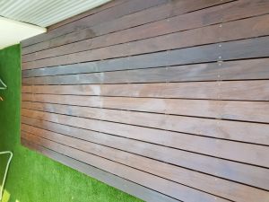 20170511_150404 (Medium)
